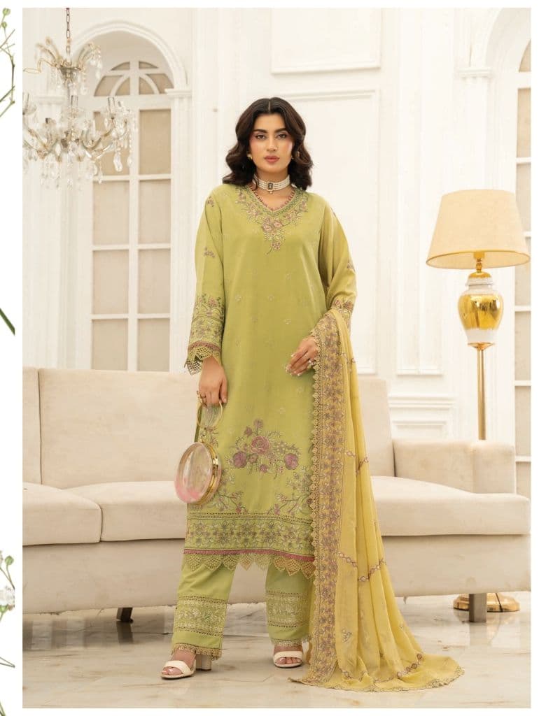 JORAH - Johra Narmeen - Embroidered Resham karandi with Embroidered Bamber Chiffon Duppata JW-087 alternate angle